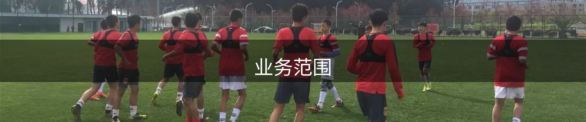 业务范围